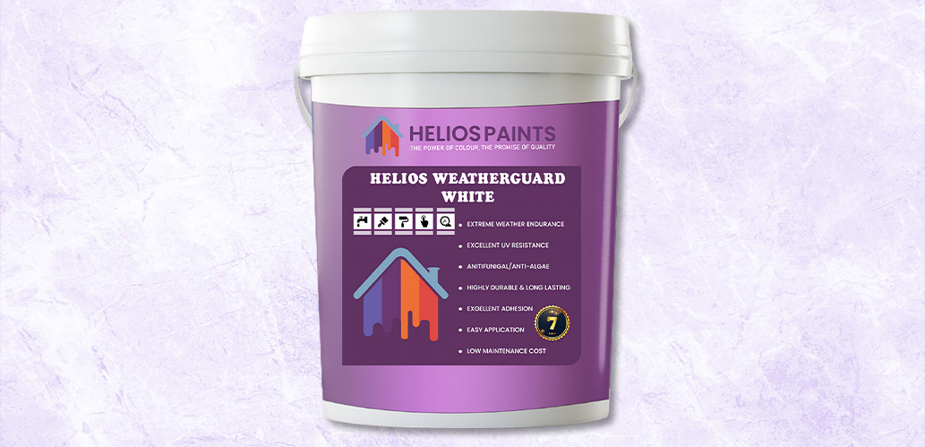 Premium Interior Paint